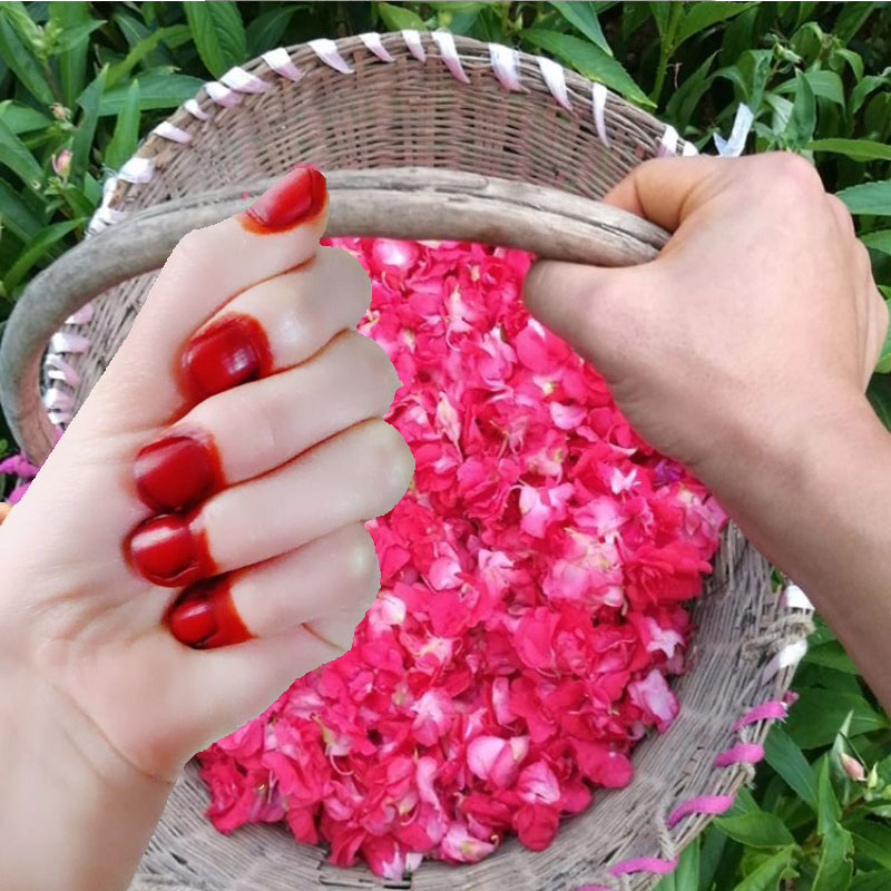 Nail Art Natural - 40g henna tintura de unhas em